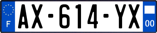 AX-614-YX