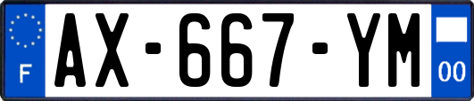 AX-667-YM