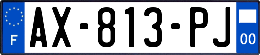 AX-813-PJ