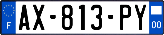 AX-813-PY