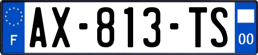 AX-813-TS