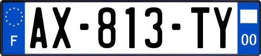 AX-813-TY