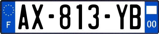 AX-813-YB