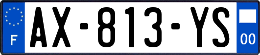 AX-813-YS