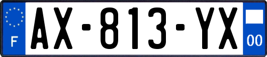 AX-813-YX