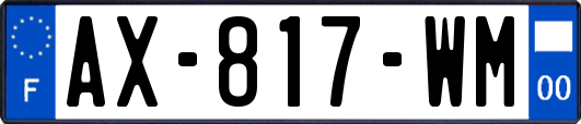 AX-817-WM