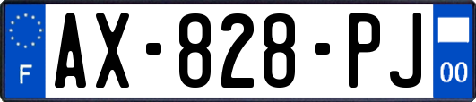 AX-828-PJ