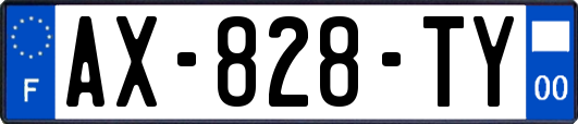 AX-828-TY