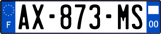 AX-873-MS