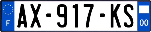 AX-917-KS