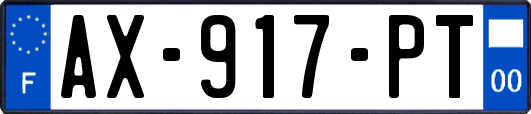AX-917-PT