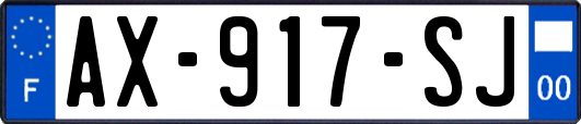 AX-917-SJ