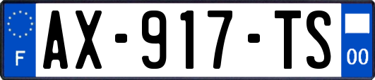 AX-917-TS