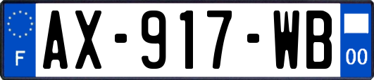 AX-917-WB