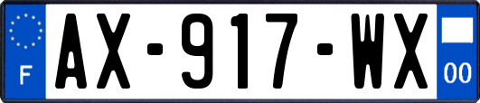AX-917-WX