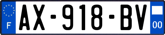 AX-918-BV