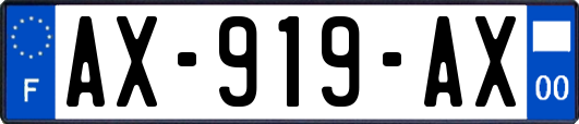 AX-919-AX