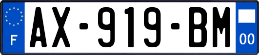 AX-919-BM