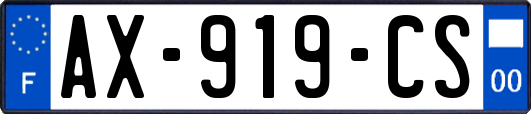 AX-919-CS