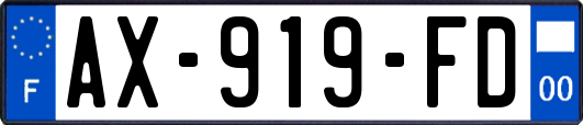 AX-919-FD