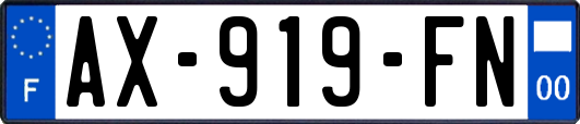 AX-919-FN