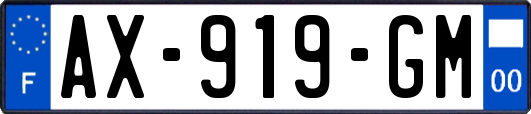 AX-919-GM