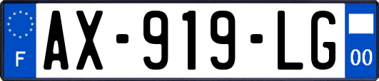 AX-919-LG