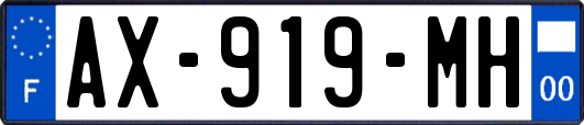 AX-919-MH