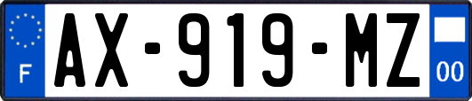 AX-919-MZ