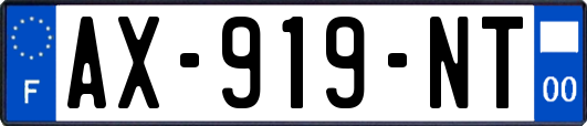 AX-919-NT