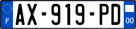 AX-919-PD