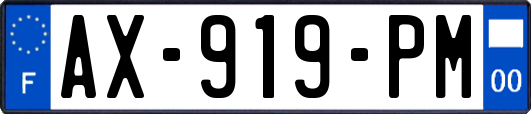 AX-919-PM