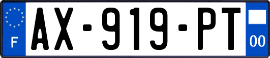 AX-919-PT