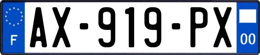 AX-919-PX