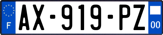 AX-919-PZ