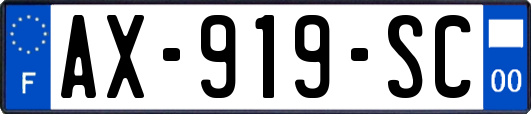 AX-919-SC