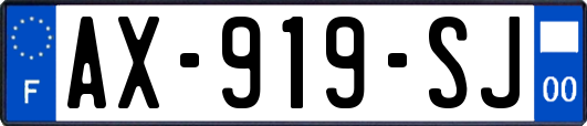 AX-919-SJ