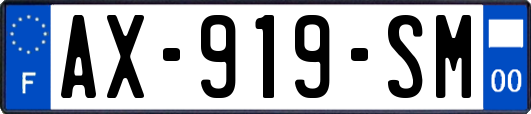 AX-919-SM