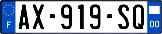 AX-919-SQ