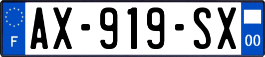 AX-919-SX