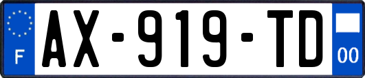 AX-919-TD