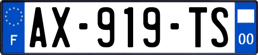 AX-919-TS