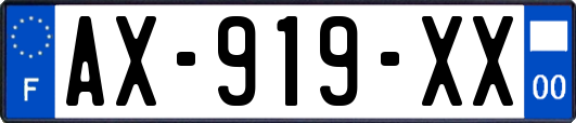 AX-919-XX