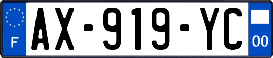 AX-919-YC