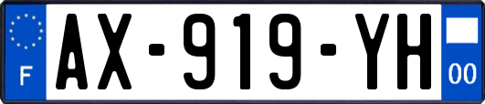 AX-919-YH