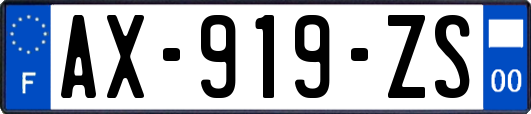 AX-919-ZS