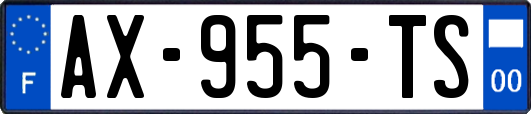 AX-955-TS