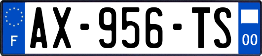 AX-956-TS