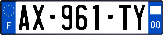 AX-961-TY