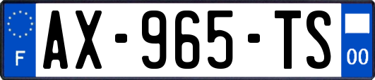 AX-965-TS